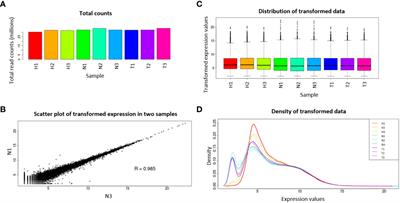 Transcriptome analysis reveals the high ribosomal inhibitory action of 1,4-naphthoquinone on Meloidogyne luci infective second-stage juveniles